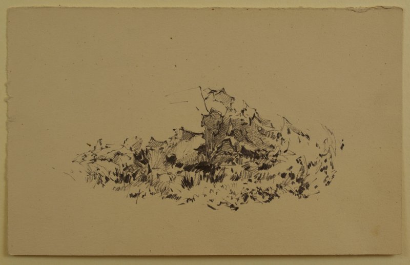 1938 ca. - Panorama di Orvieto (studio di fronde)